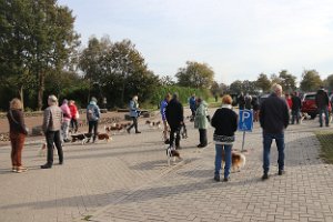 IMG_2220
